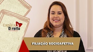 Explica Direito Filiação Socioafetiva  2019 [upl. by Nedroj976]