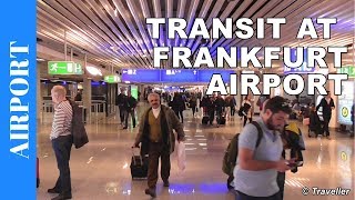 TRANSIT WALK AT FRANKFURT Airport FRA Terminal 1  Connection Flight Transfer Arriving amp Departing [upl. by Onibas140]